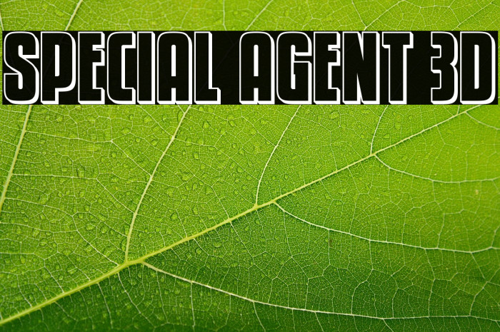 Special Agent 3D Example 3