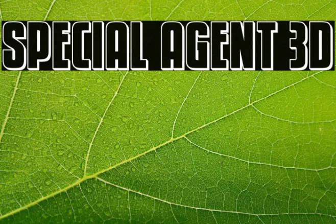 Special Agent 3D Example 3