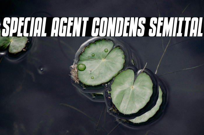 Special Agent Condens SemiItal Example 2