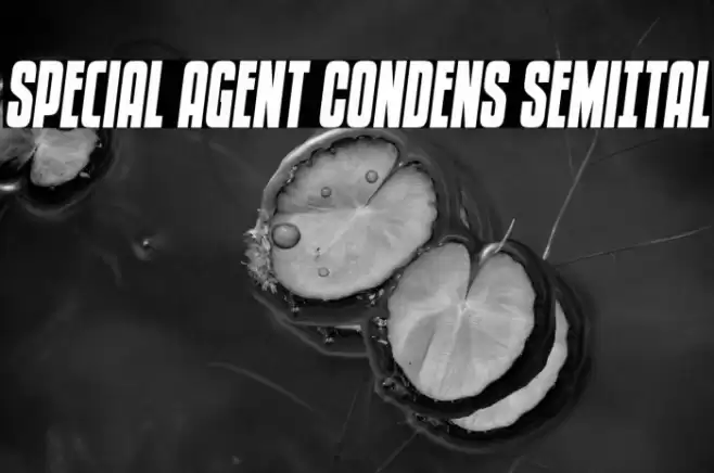 Special Agent Condens SemiItal Font examples