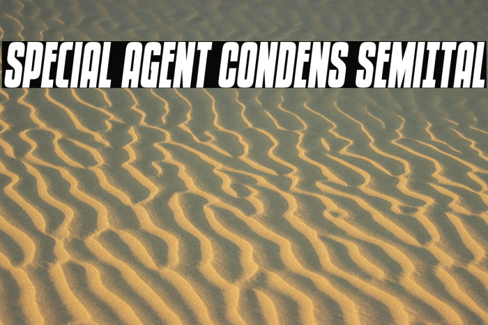 Special Agent Condens SemiItal Example 3