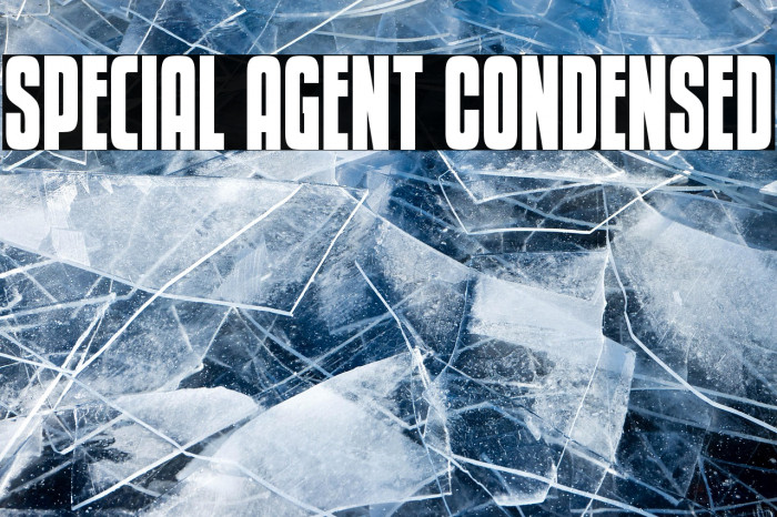 Special Agent Condensed Example 1