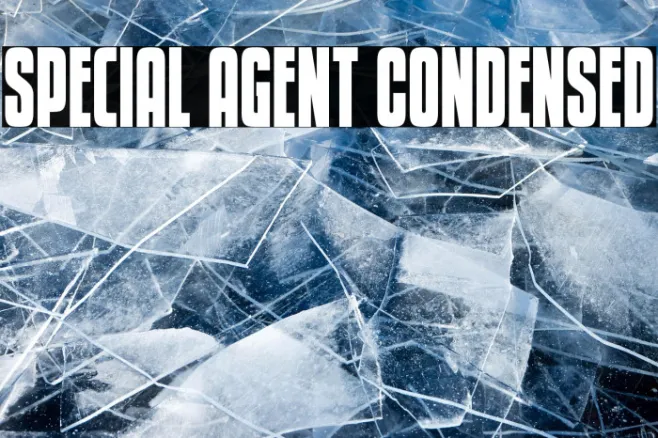 Special Agent Condensed Example 1