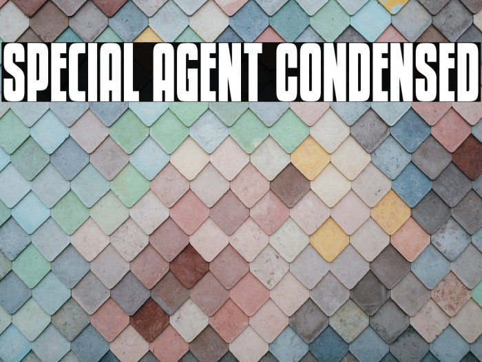 Special Agent Condensed Example 2