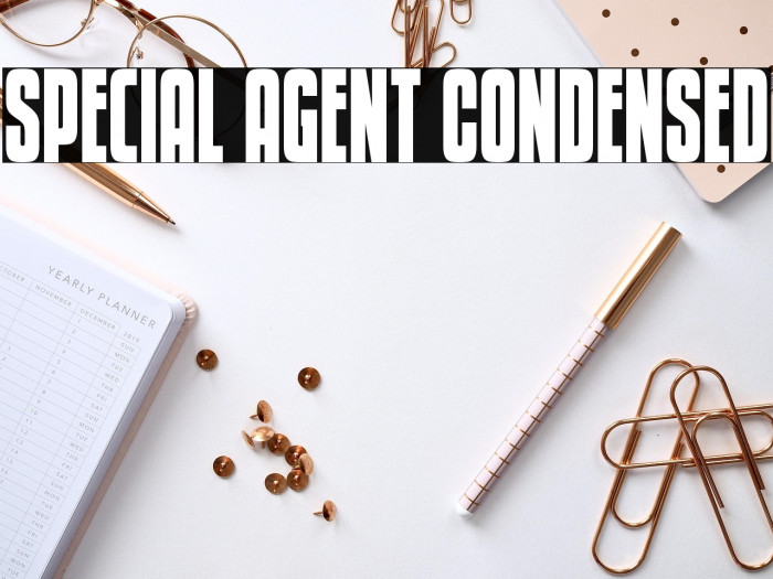 Special Agent Condensed Example 3