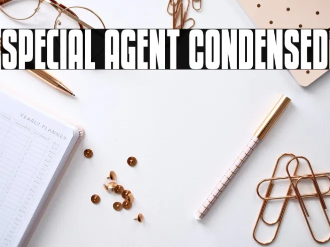 Special Agent Condensed Example 3