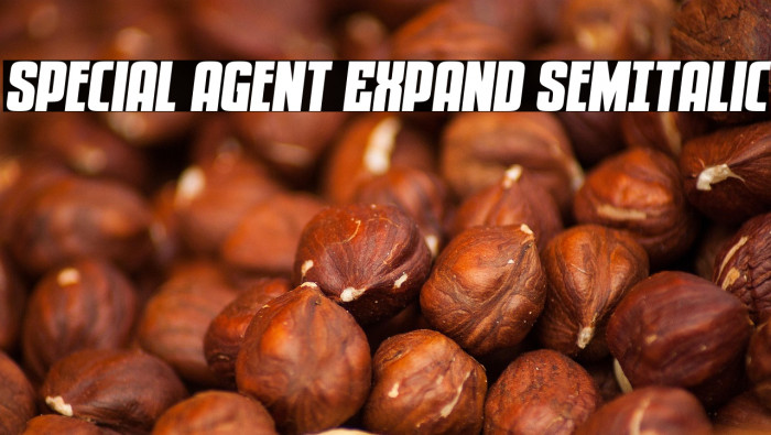 Special Agent Expand SemItalic Example 1