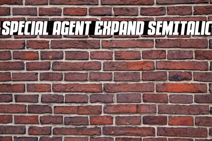 Special Agent Expand SemItalic Example 2
