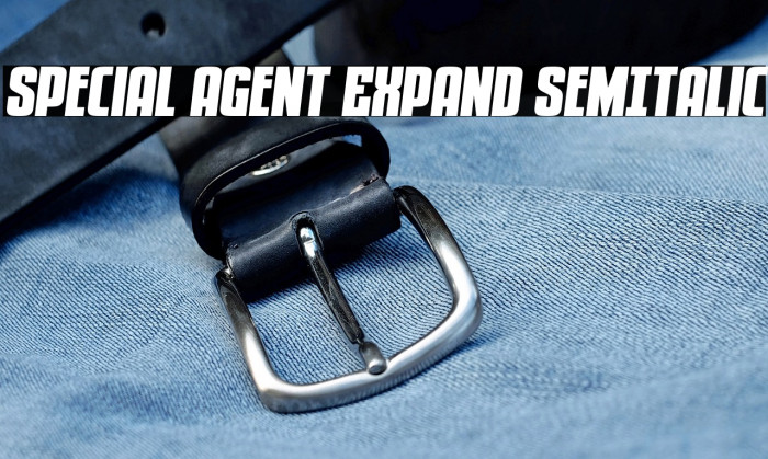 Special Agent Expand SemItalic Example 3
