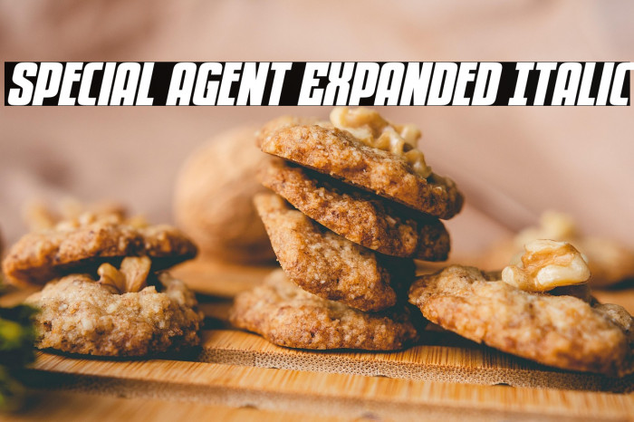 Special Agent Expanded Italic Example 1