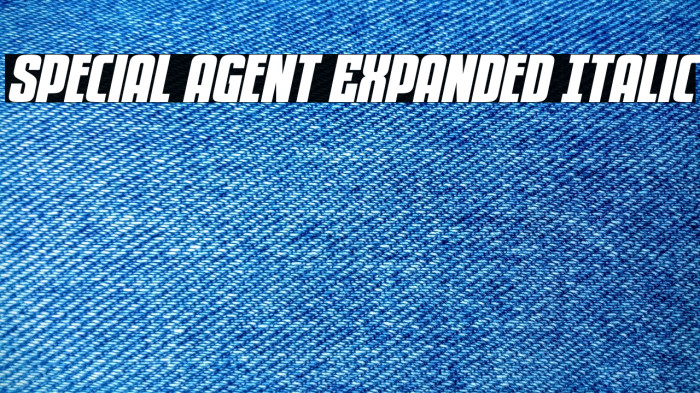 Special Agent Expanded Italic Example 2