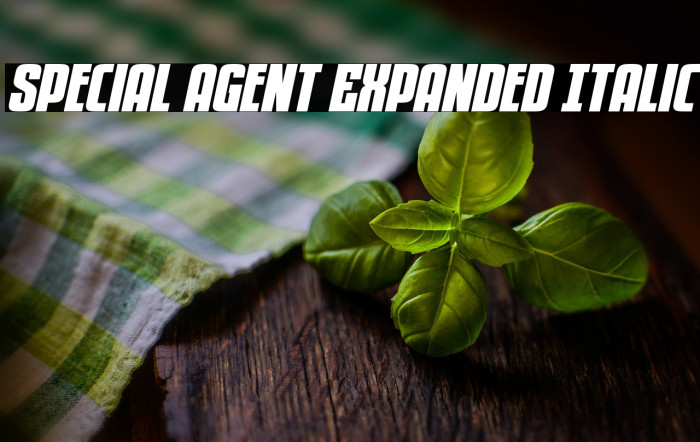 Special Agent Expanded Italic Example 3