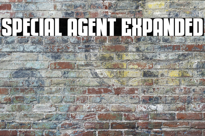 Special Agent Expanded Example 2