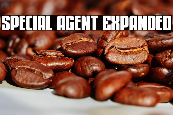 Special Agent Expanded Example 3