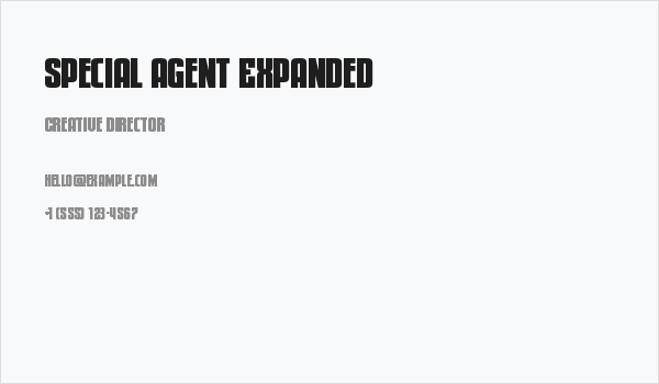 Special Agent Expanded Business Card