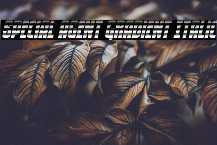 Special Agent Gradient Italic Example 2