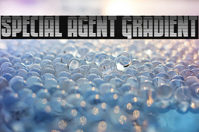 Special Agent Gradient Example 1