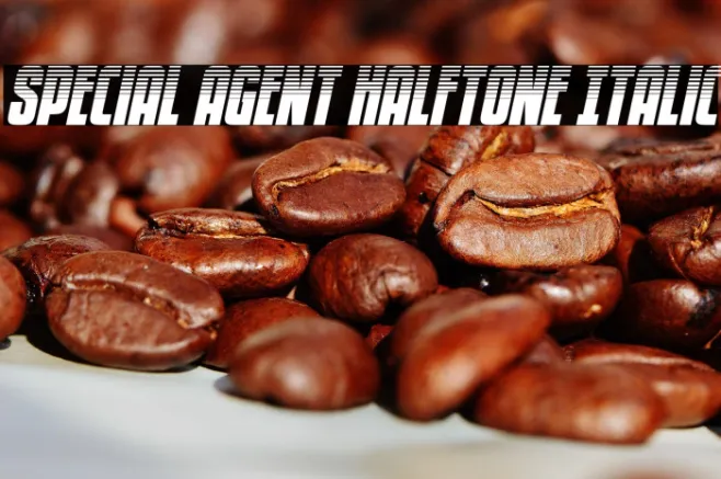 Special Agent Halftone Italic Example 1