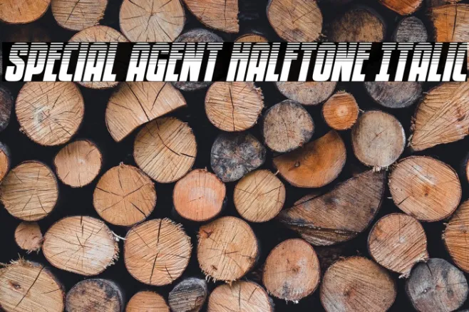 Special Agent Halftone Italic Example 2