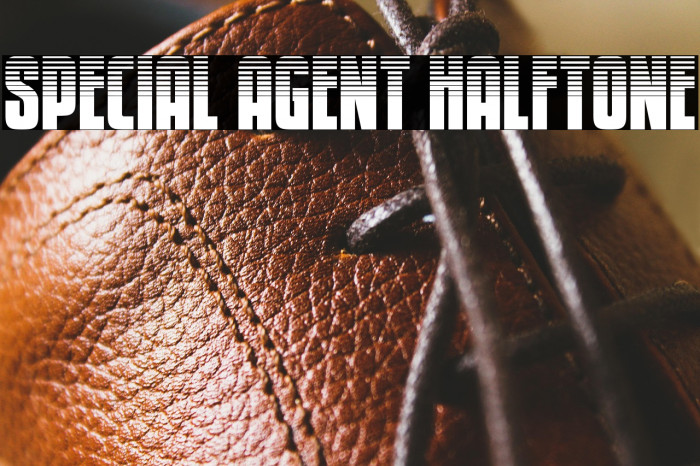 Special Agent Halftone Example 1