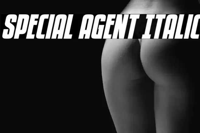 Special Agent Italic Font examples