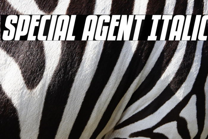 Special Agent Italic Example 2