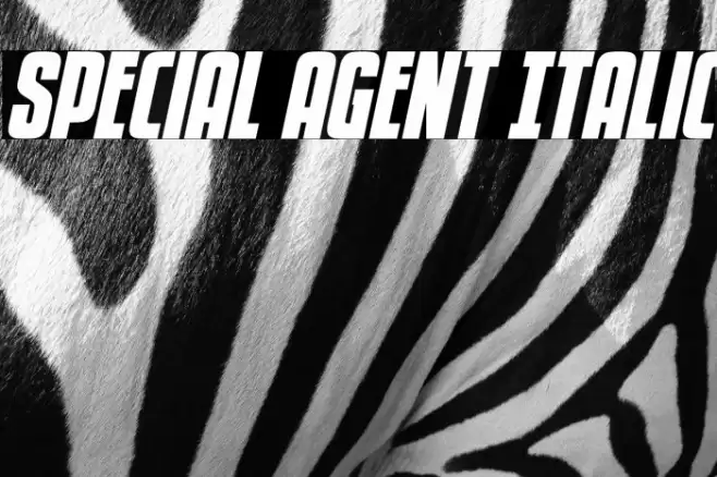 Special Agent Italic Font examples