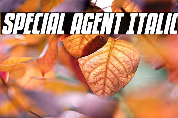 Special Agent Italic Example 3
