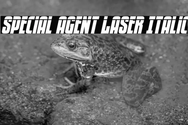 Special Agent Laser Italic Font examples
