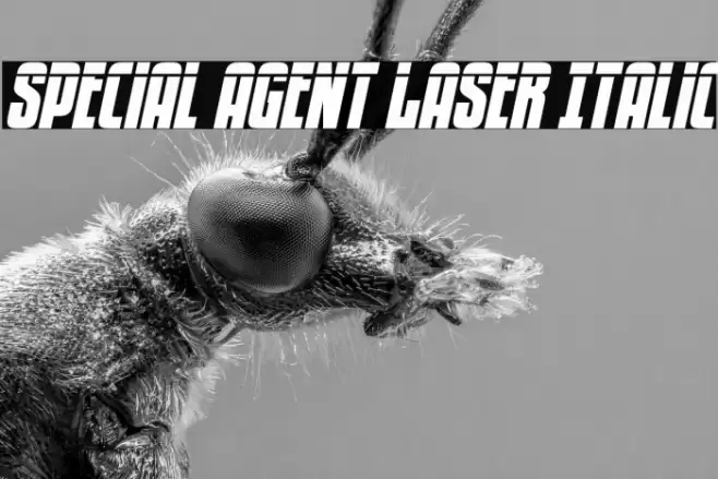Special Agent Laser Italic Font examples