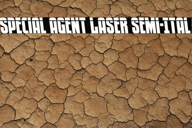 Special Agent Laser Semi-Ital Example 2
