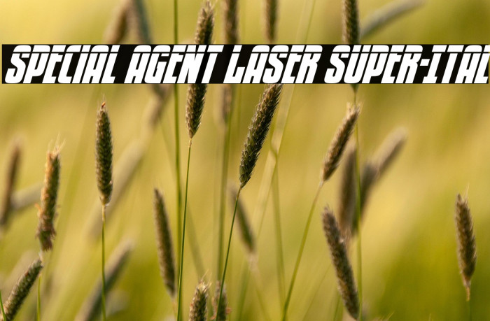 Special Agent Laser Super-Ital Example 3