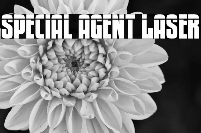 Special Agent Laser Font examples