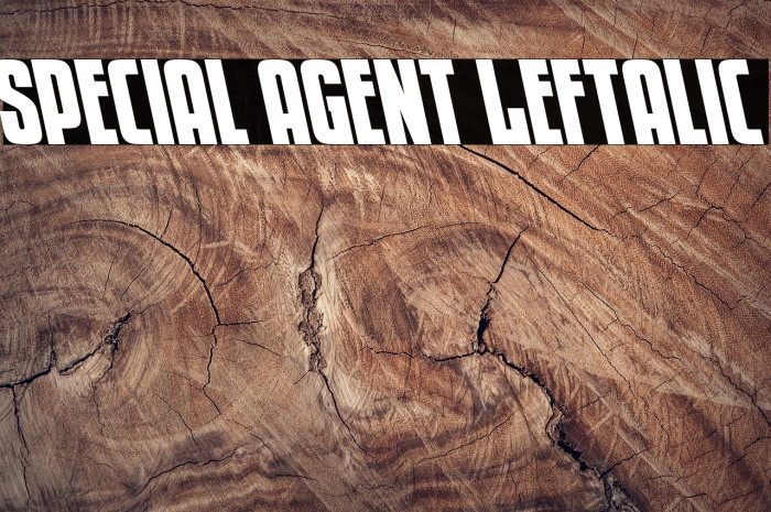 Special Agent Leftalic Example 2