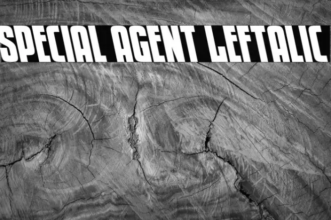Special Agent Leftalic Font examples