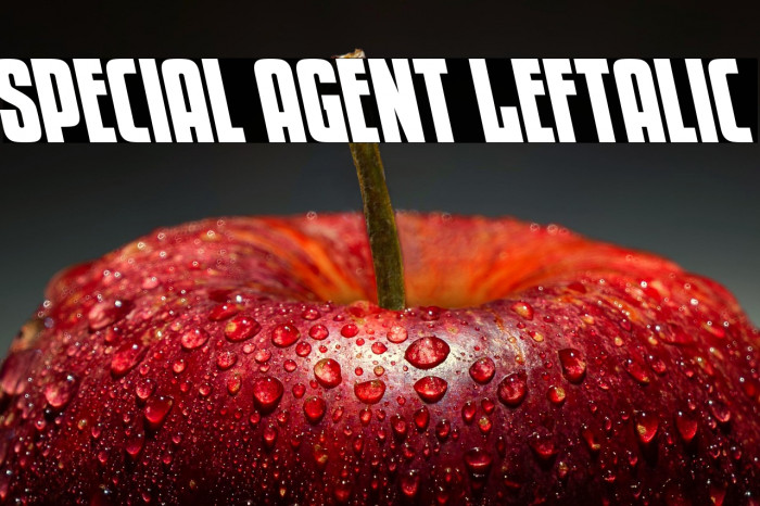 Special Agent Leftalic Example 3