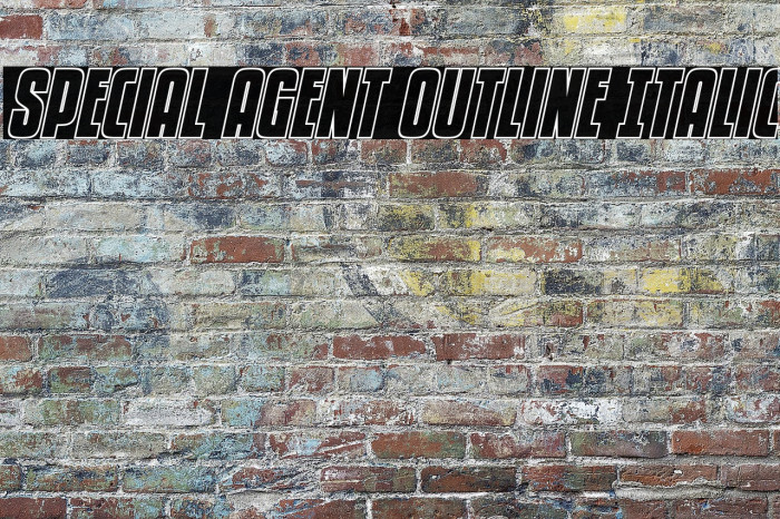 Special Agent Outline Italic Example 1