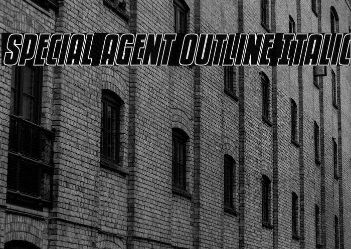 Special Agent Outline Italic Example 3