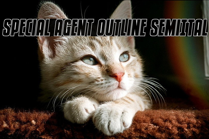 Special Agent Outline SemiItal Example 1