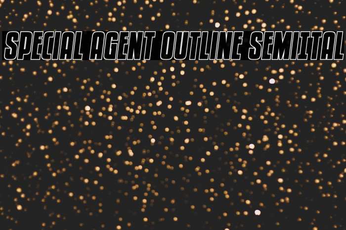 Special Agent Outline SemiItal Example 2