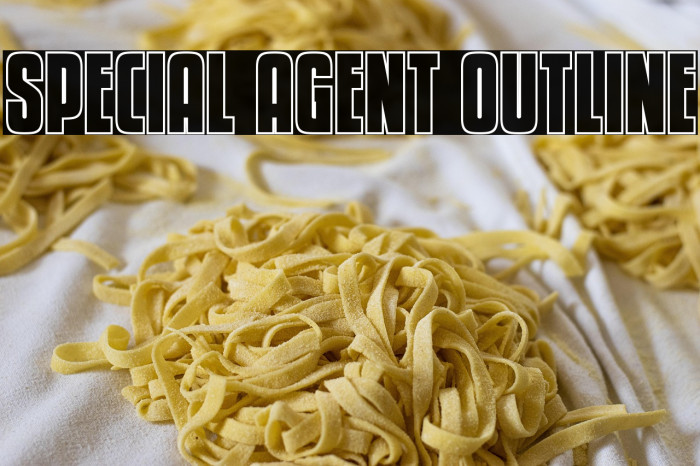 Special Agent Outline Example 2