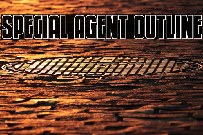 Special Agent Outline Example 3