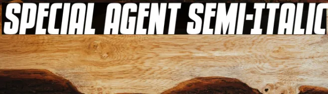 Special Agent Semi-Italic Example 1