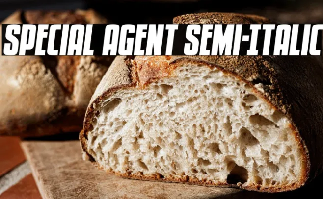 Special Agent Semi-Italic Example 2