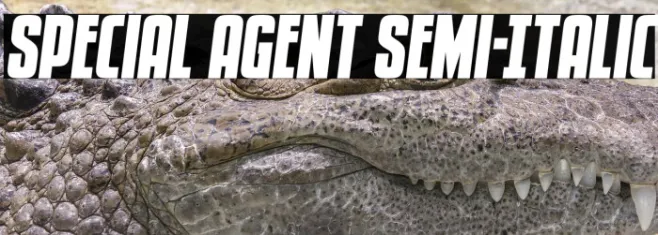 Special Agent Semi-Italic Example 3
