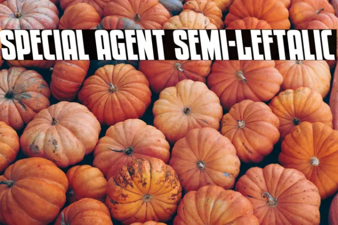 Special Agent Semi-Leftalic Example 2