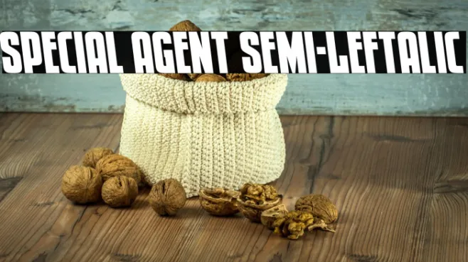Special Agent Semi-Leftalic Example 3
