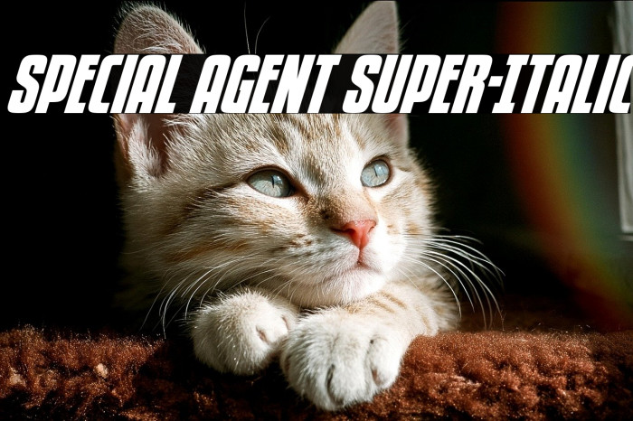 Special Agent Super-Italic Example 1