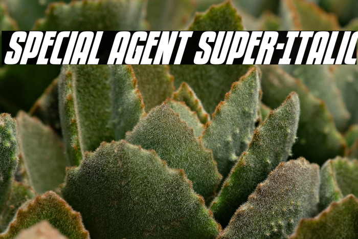 Special Agent Super-Italic Example 3