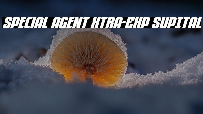 Special Agent Xtra-Exp SupItal Example 1